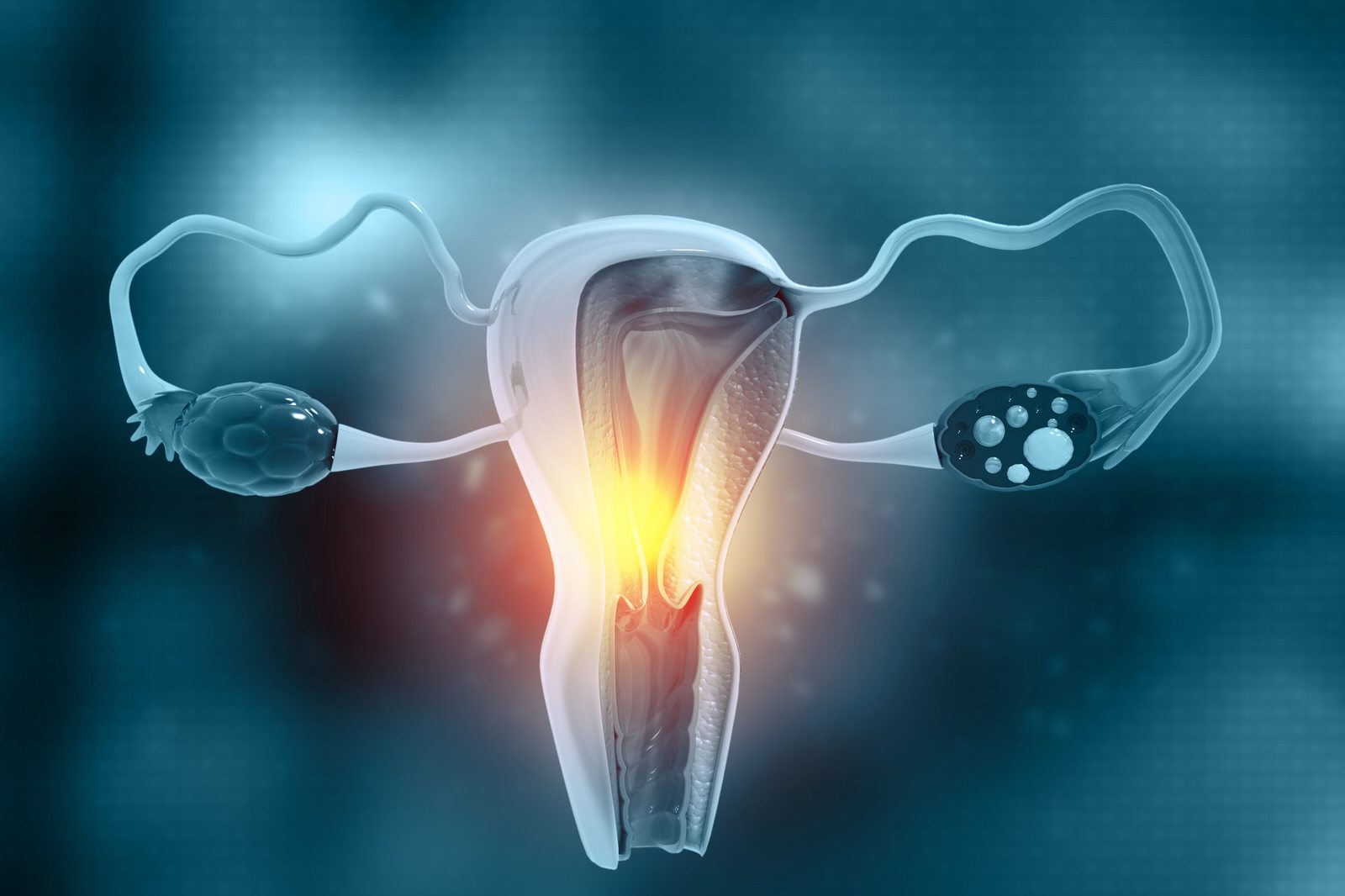 miomas-uterinos-salud-vagina