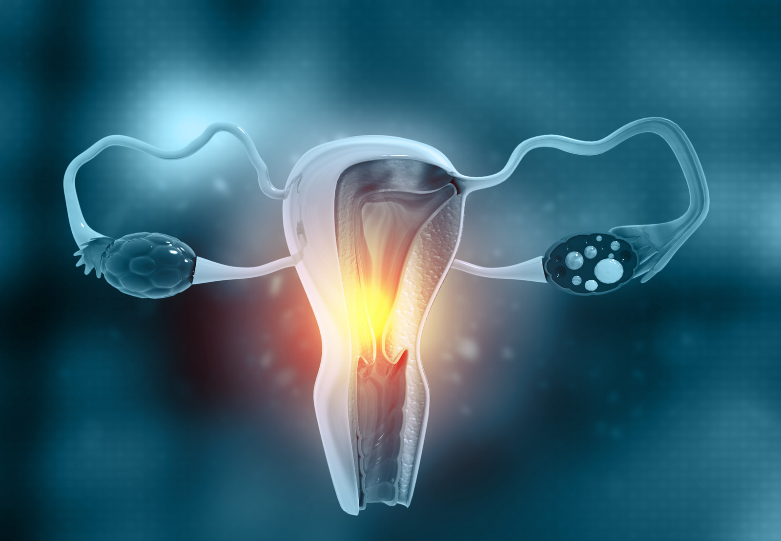 miomas uterinos salud vagina 1 by Kellenfol Ad.